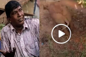 சிவனேன்னு போய்ட்டு இருந்த? உசுப்பெற்றிய நபரிடம் ஆக்ரோஷத்தை காட்டிய காட்டு யானை..