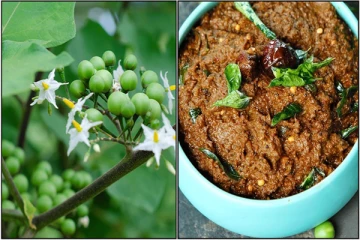 இரும்புச்சத்தை அள்ளித்தரும் சுண்டைக்காய் துவையல்... கட்டாயம் எடுத்துக்கோங்க