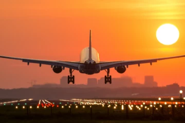 இலங்கையிலிருந்து கடத்திச் செல்லப்பட்ட அரியவகை உயிரினங்கள்