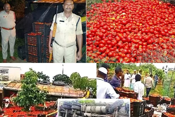 18 டன் தக்காளிகளை ஏற்றி சென்ற லாரி விபத்து | Truck Carrying 18 Tons Tomatoes With An Accident