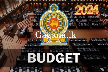 අයවැය කාරක සභා විවාදය අද සිට දින 19ක් පුරාවට. - ( UPDATE /VIDEO )