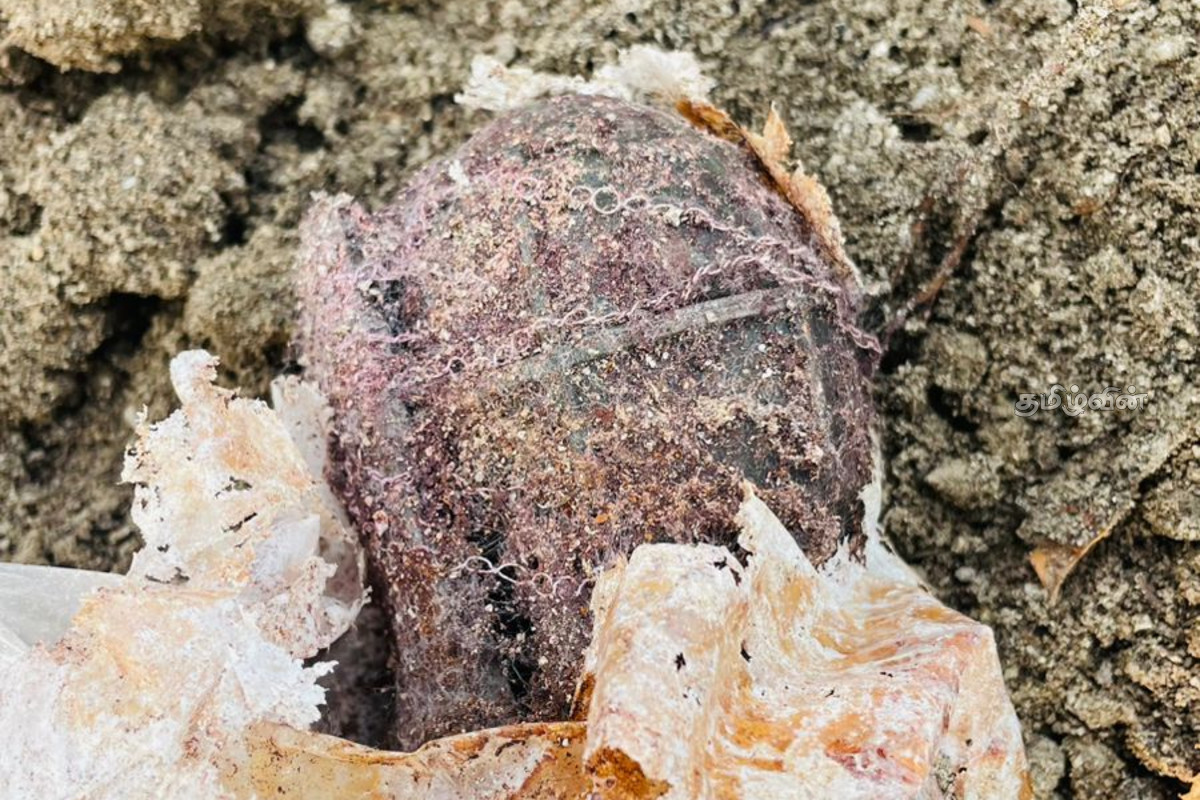 யாழ். அனலைதீவு பகுதியில் ஆயுதங்கள் மீட்பு! | Weapons Recovered In The Analaitivu