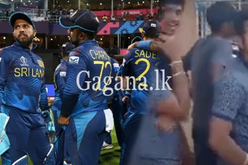 ටිකට් ගන්න ඇවිත් අදත් දඹුල්ල උණුසුම් වන ලකුණු. (VIDEO)