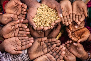 குறைந்த போசாக்கு உணவுகளை உட்கொள்ள நிர்ப்பந்திக்கப்பட்டுள்ள இலங்கையர்கள்  - ஐக்கிய நாடுகளின் எச்சரிக்கை!