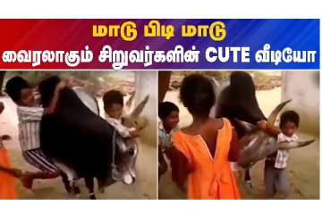 மாடு பிடி மாடு - வைரலாகும் சிறுவர்களின் CUTE வீடியோ