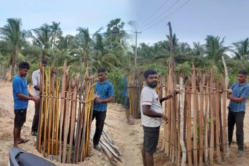 கிளிநொச்சியில் மர நடுகை ; முச்சக்கரவண்டி சாரதிகளின் முன்மாதிரியான செயல்