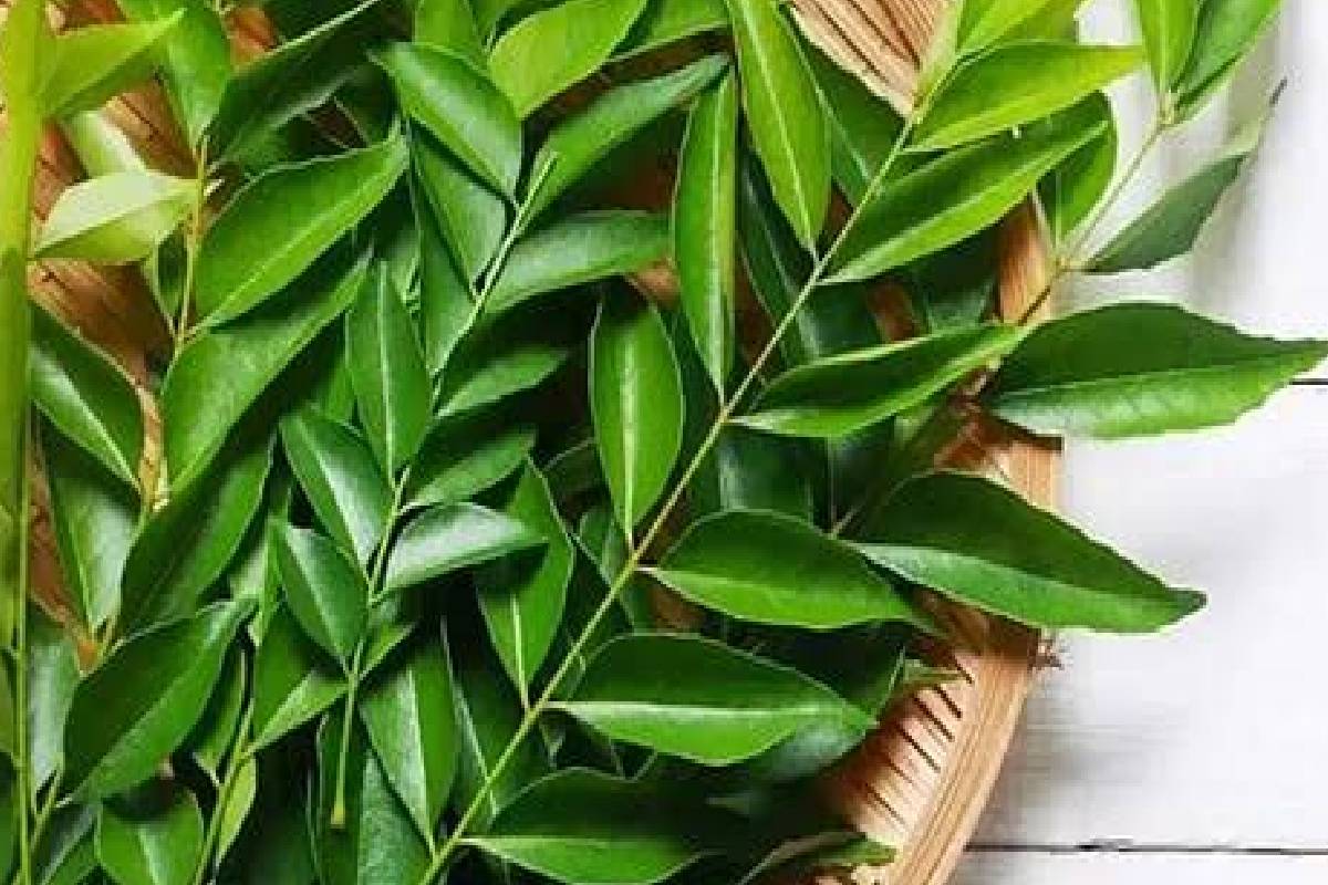 கொலஸ்ட்ராலைக் கட்டுப்படுத்த உதவும் 5 இயற்கை மூலிகைகள் - என்னென்ன தெரியுமா? | How To Control Cholesterol In 6 Natural Ways கொலஸ்ட்ராலைக் கட்டுப்படுத்த உதவும் 5 இயற்கை மூலிகைகள் - என்னென்ன தெரியுமா? | How To Control Cholesterol In 6 Natural Ways