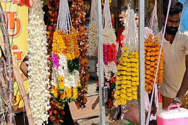 கொழும்பில் களைகட்டும் பொங்கல் வியாபாரம் ; மக்கள் வருகை அதிகரிப்பு | Weed Growing Pongal Business In Colombo Population கொழும்பில் களைகட்டும் பொங்கல் வியாபாரம் ; மக்கள் வருகை அதிகரிப்பு | Weed Growing Pongal Business In Colombo Population