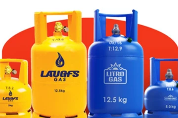 சமையல் எரிவாயு தொடர்பில் அரசாங்கம் மக்களுக்கு வழங்கியுள்ள உறுதி