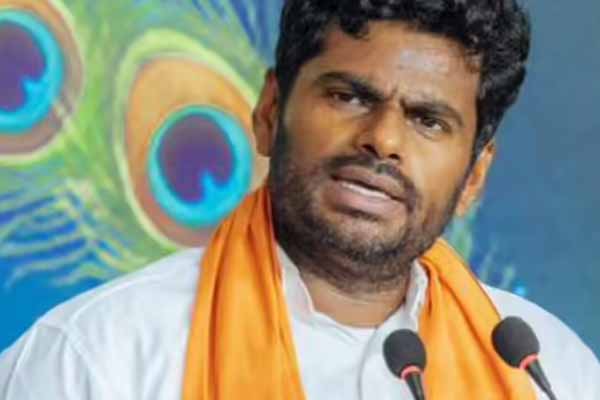 அண்ணாமலை விலகியது ஏன்? பரபரப்பான அரசியல் களம் | Reason Of Annamalai Resign Election Responsibility