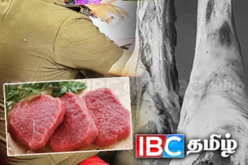 மனித நுகர்வுக்கு பொருத்தமற்ற 12,000 கிலோ இறைச்சி சுற்றிவளைப்பு