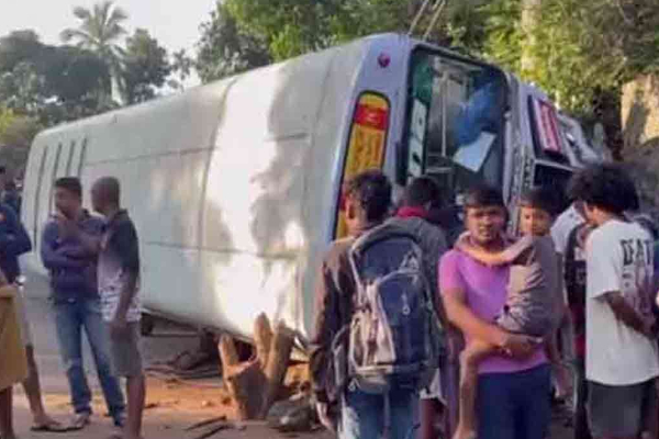 ஹல்துமுல்லையில் கோர விபத்து: சாரதி பலி | Accident In Haldumulla Driver Dies