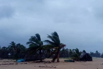 யாழில் சுழன்றடித்த காற்று ; மறு அறிவித்தல் வரை செல்ல வேண்டாம், மக்களுக்கு வெளியான அறிவிப்பு