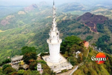 හැමෝම හොය හොය යන අම්බුලුවාව කැලේට කරන්න ගිය විනාසේ - තරුණියක් ඇතුළු 4ක් අත්අඩංගුවට