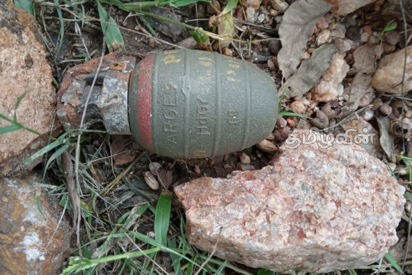 நெடுங்கேணியில் கைக்குண்டு மீட்பு | Grenade Recovery In Nedunkeni
