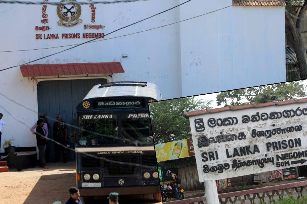 இலங்கையை உலுக்கிய நீர்கொழும்பு சிறைச்சாலை கலவரம்..! துப்பாக்கிச் சூடு நடத்திய அதிகாரிக்கு மரண அச்சுறுத்தல் | Death Threats To Officer Who Opened Fire இலங்கையை உலுக்கிய நீர்கொழும்பு சிறைச்சாலை கலவரம்..! துப்பாக்கிச் சூடு நடத்திய அதிகாரிக்கு மரண அச்சுறுத்தல் | Death Threats To Officer Who Opened Fire