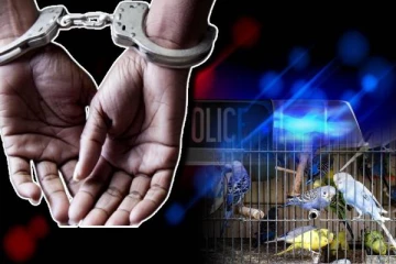 பறவைக் கூண்டிலிருந்து வெளிவந்த போதைப்பொருள் : வியப்பில் காவல்துறை