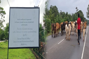 முல்லைத்தீவு மாவட்ட பண்ணையாளர்களுக்காக முன்னெடுக்கப்படும் விசேட வேலைத்திட்டம் (Photos)