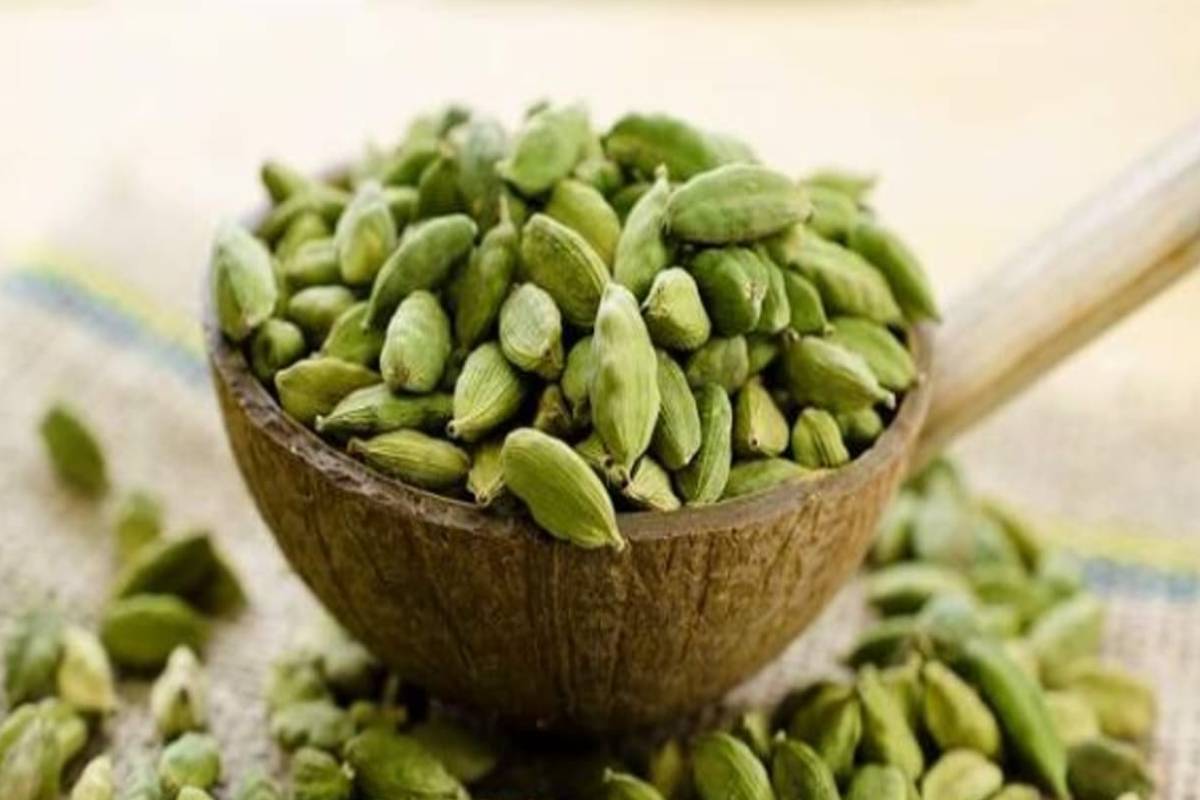 இரவில் உறங்க செல்வதற்கு முன் ஏலக்காயை மென்று சாப்பிட்டால் உடலுக்கு இத்தனை நன்மைகளா? | What Are The Benefits Of Chewing Cardamom