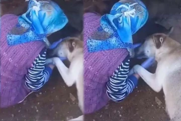 குட்டிகளுக்கு சாப்பாடு வழங்கிய பெண்! நன்றி கூறி பாசத்தை வெளிக்காட்டிய நாய்