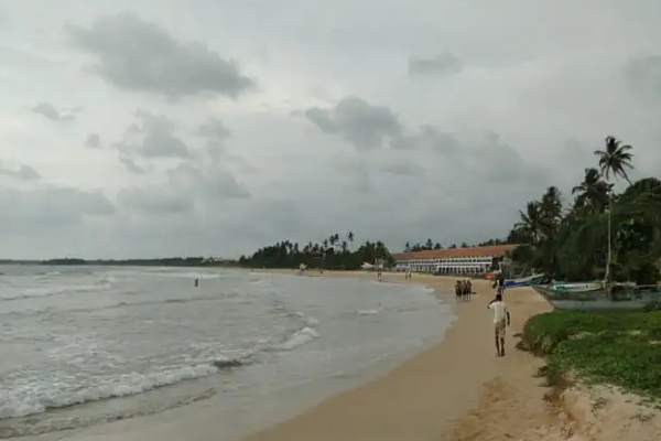 இரு இடங்களில் மீட்கப்பட்ட சடலங்கள்; திணறும் பொலிஸார்! | Bodies Recovered From Two Places Stuck Police