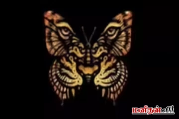 ஆளுமை சோதனை: புலி/சிங்கம் அல்லது பட்டாம்பூச்சி - இதில் முதல் பார்த்தது என்ன?