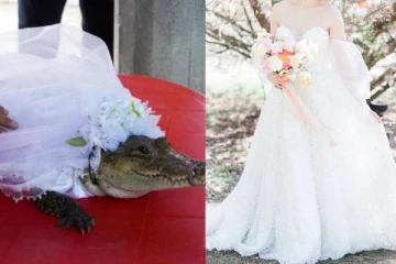 மணப்பெண்ணாக வந்த  முதலை - ஆடம்பர திருமணத்தில் காத்திருந்த ஆச்சரியம்