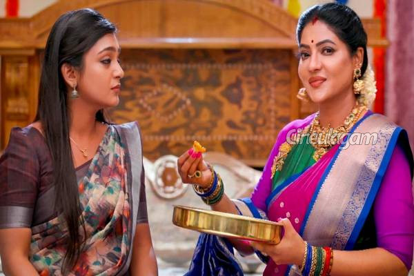 மகளே என் மருமகளே சீரியலின் புதிய இயக்குனர் இவர்தானா... விஜய் டிவி ஹிட் தொடர்களின் இயக்குனர் தான்.. | New Director For Magale En Marumagalae Serial