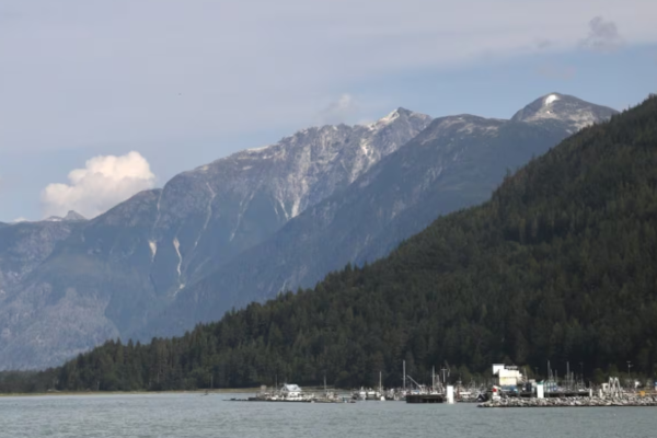 பிரிட்டிஷ் கொலம்பியாவில் கரடி தாக்குதல் ; பலர் காயம் | Several Injured In Bear Attack In Remote Bc