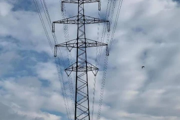 சுவிட்சர்லாந்தில் மின்சாரத்தை சேமிக்க பொதுமக்கள் கட்டாயப்படுத்தப்படலாம்: வெளிவரும் தகவல்