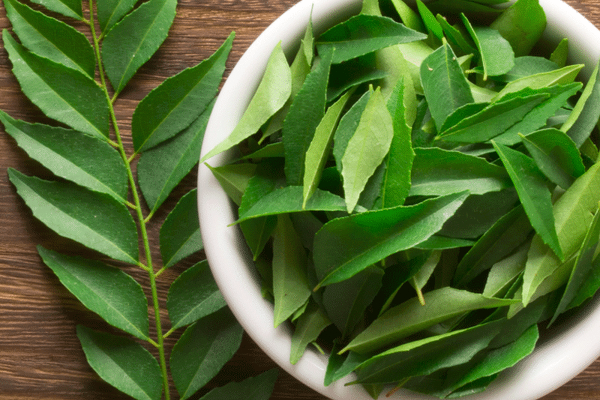 தலைமுடி உதிர்விற்கு 