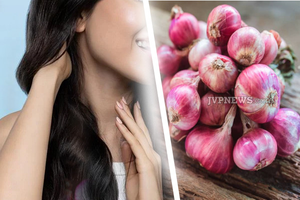 ஜலதோஷம் முதல் இதய நோய் வரை ...சின்ன வெங்காயத்தில் இவ்வளவு நன்மைகளா! | So Many Benefits In Shallots Life Sytle Health