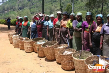 වතු කම්කරුවන් උද්ඝෝෂණයක (PHOTO)