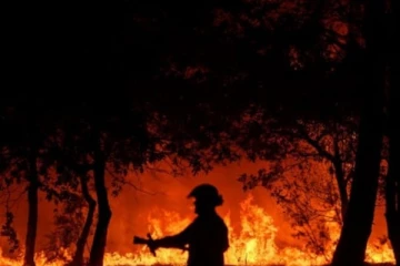 1,300 ஹெக்டேர் வனப்பரப்பை கபளீகரம் செய்த காட்டுத்தீ: இம்முறை வீடுகளும் தப்பவில்லை...