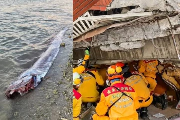 கரை ஒதுங்கிய அந்த மீன்... சில மணிநேரங்களில் தைவானை உலுக்கிய மோசமான நிலநடுக்கம்