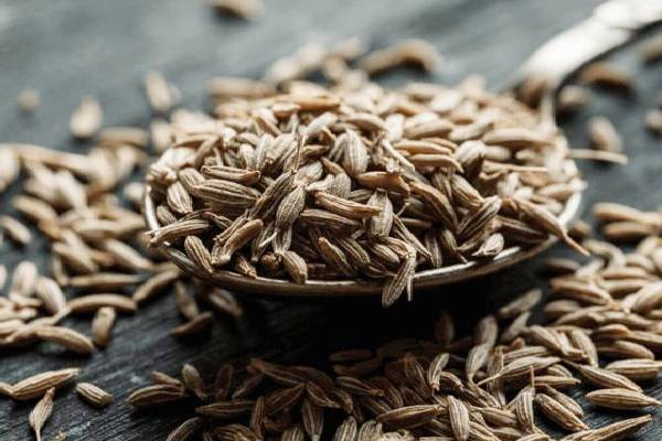 ஒட்டுமொத்த ஆரோக்கியத்தையும் மேம்படுத்தும் விதைகள்! இந்த பிரச்சினைக்கு எந்த விதை? | Healthy Seeds To Add In Your Diet And Benefits