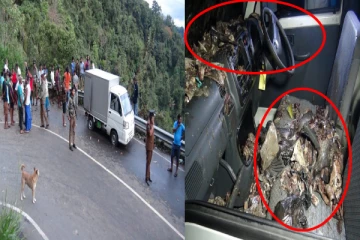 மீன் கழிவுகளை வீசி சென்ற நபர் ; தக்க பதிலடி கொடுத்த மக்கள்