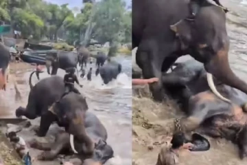 மனைவி இறந்த சோகத்திலும் கண்களை தானம் செய்த கணவன்