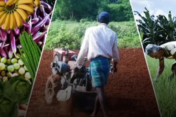 விவசாயிகளுக்கு வெளியான மகிழ்ச்சி தகவல்! | Good News For Farmers Insurance Scheme Seed Paddy