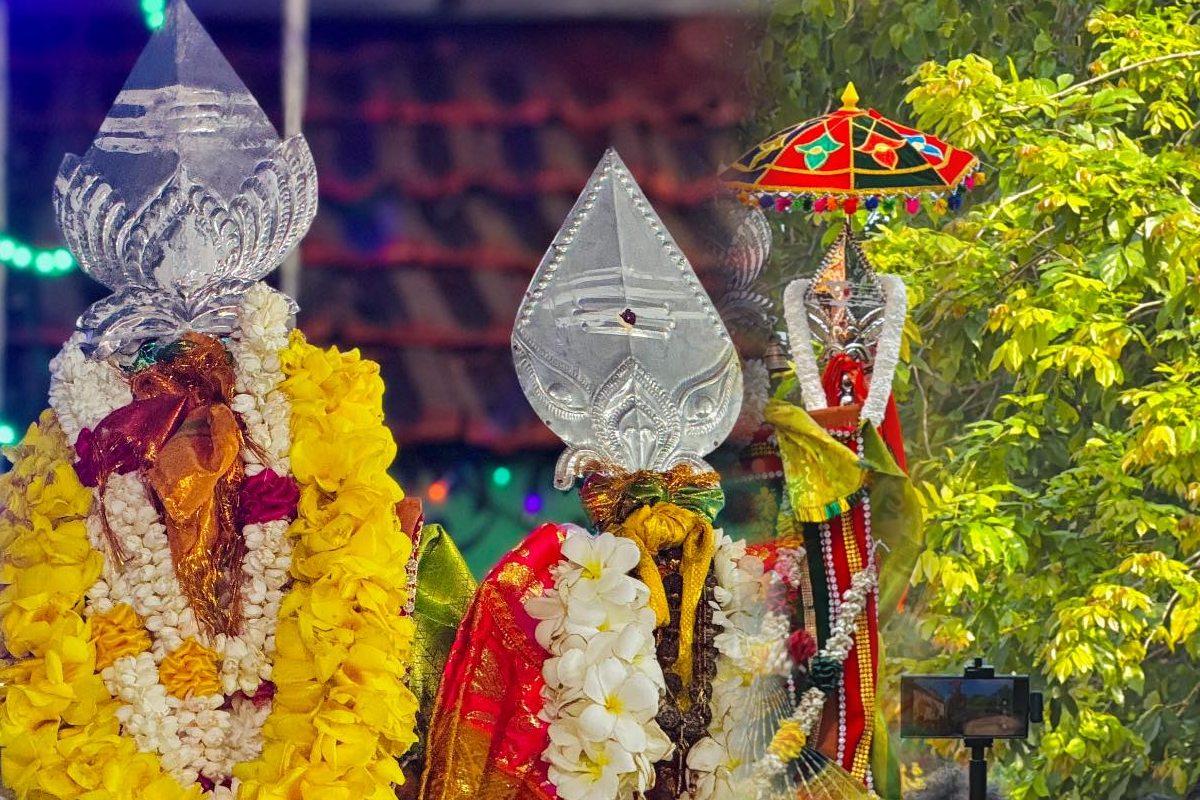 யாழில் இருந்து கதிர்காம கந்தனை காண பாத யாத்திரை | Foot Pilgrimage From Jaffna To Worship Kataragama யாழில் இருந்து கதிர்காம கந்தனை காண பாத யாத்திரை | Foot Pilgrimage From Jaffna To Worship Kataragama