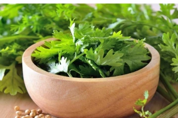 கொத்தமல்லி இலைகளை 3 மாதங்கள் வரை வைத்திருக்கலாமா?