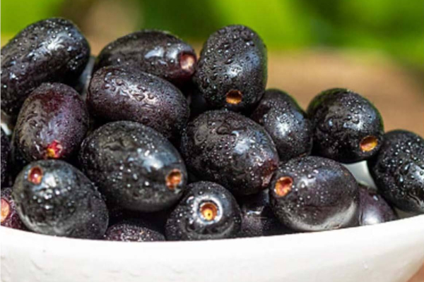 சர்க்கரை நோயாளிகளுக்கு அருமருந்தாகும் பழம் ; கட்டாயம் தெரிஞ்சுக்கோங்க! | Fruit An Excellent Remedy For Diabetes Patients சர்க்கரை நோயாளிகளுக்கு அருமருந்தாகும் பழம் ; கட்டாயம் தெரிஞ்சுக்கோங்க! | Fruit An Excellent Remedy For Diabetes Patients