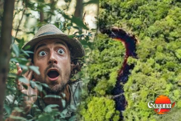 ඇමසන් වනාන්තරයෙන් ඇහෙන අලුත්ම ආරංචිය