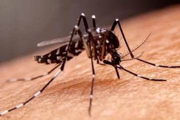 கொசுக்கள் சிலரை மட்டும் ஏன் அதிகமாக கடிக்கின்றது தெரியுமா?