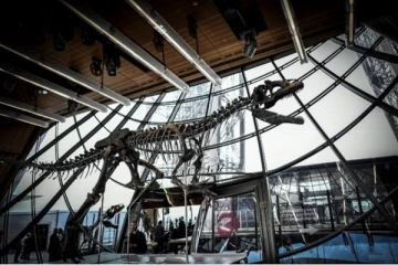 பாரிசில் ஏலத்திற்கு வரும் உலகின் மிகப்பாரிய டைனோசர் எலும்புக்கூடு!