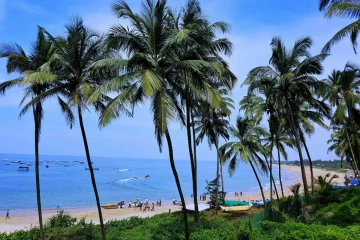 சுற்றுலா சென்ற கேரளாவைச் சேர்ந்த 28 பேருக்கு உடல் நல பாதிப்பு
