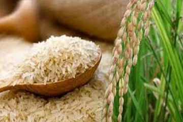 காலாவதியான அரிசி வெளிநாட்டுக்கு ஏற்றுமதி! ராகமை களஞ்சியசாலைக்கு சீல் வைப்பு