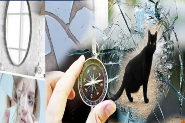 வீட்டில் இந்த அறிகுறிகள் இருக்கா? அவை அசுபத்தின் அறிகுறிகள் ஜாக்கிரதை!