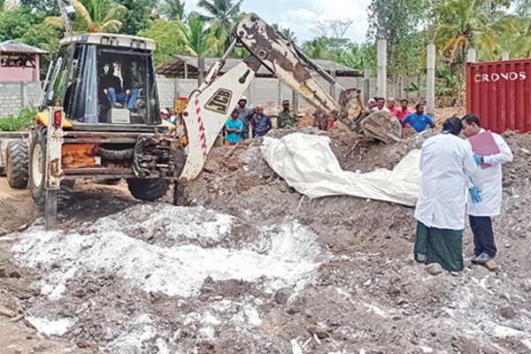 මිද්දෙණියෙන් සොයා ගත් රසායනික ද්‍රව්‍යවල 