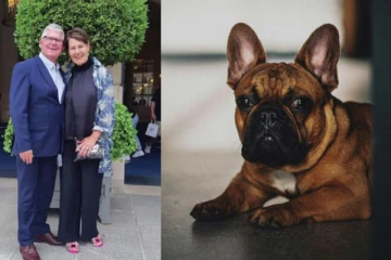 நாயின் அருகே அமர்ந்து பயணம் செய்த தம்பதிக்கு கட்டணத்தை திரும்ப அளித்த ஏர்லைன்ஸ் நிறுவனம்